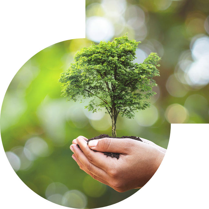 关怀人类、文化、环境与社会